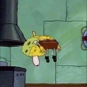 Meet your Posher, Kira